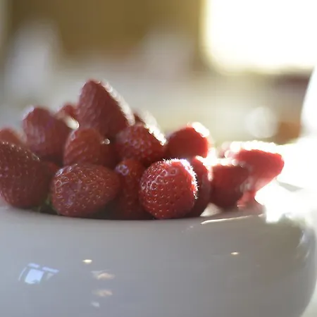 酒店 Logis Restaurant Au Boeuf Rouge Niederschaeffolsheim